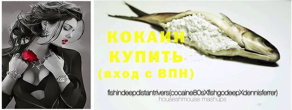 2c-b Бородино