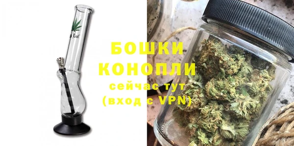 2c-b Бородино