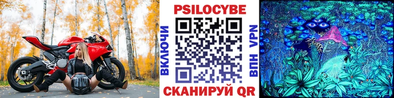 Галлюциногенные грибы MAGIC MUSHROOMS  OMG как войти  Ершов 
