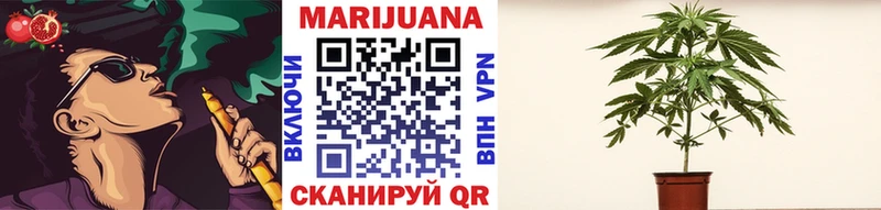 Бошки марихуана OG Kush  нарко площадка клад  Ершов 